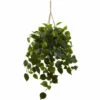 Discount 💯 Nearly Natural Philodendron Hanging Basket 😉 -Nearly Natural Sales unnamed file 1154