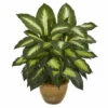 Best Sale 🎉 Nearly Natural Dieffenbachia Artificial Plant In Ceramic Planter ❤️ -Nearly Natural Sales unnamed file 1157