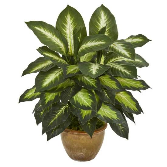 Best Sale π Nearly Natural Dieffenbachia Artificial Plant In Ceramic Planter β€οΈ 3 Best Sale π Nearly Natural Dieffenbachia Artificial Plant In Ceramic Planter β€οΈ