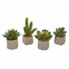 Best reviews of ✔️ Nearly Natural Mixed Succulent Artificial Plant Set Of 4 🧨
