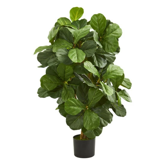 Coupon β Nearly Natural 3.5 Ft. Fiddle Leaf Artificial Tree π₯ 3 Coupon β Nearly Natural 3.5 Ft. Fiddle Leaf Artificial Tree π₯