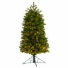 Cheapest 🔥 Nearly Natural 4’ Slim Colorado Mountain Spruce 🔔 Christmas Tree With 150 Lights 😀 -Nearly Natural Sales unnamed file 131