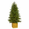 Best reviews of 😍 Nearly Natural 5 Ft. Manchester Fir ❄ Christmas Tree With 250 LED Lights 😍 -Nearly Natural Sales unnamed file 1338