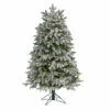 Top 10 🔔 Nearly Natural 5 Ft. Flocked 🎅 Christmas Tree With 300 LED Lights ✔️