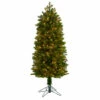 Brand new π Nearly Natural 5β Slim Colorado Mountain Spruce π Christmas Tree With 250 Lights β¨ 1 Brand new π Nearly Natural 5β Slim Colorado Mountain Spruce π Christmas Tree With 250 Lights β¨ -Nearly Natural Sales unnamed file 136