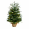 Outlet 👍 Nearly Natural 2 Ft. 🎁 Christmas Tree In Burlap Base With 35 Lights ✔️ -Nearly Natural Sales unnamed file 1458