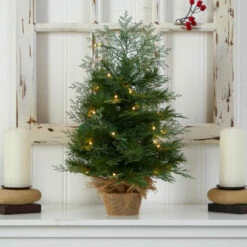 Outlet 👍 Nearly Natural 2 Ft. 🎁 Christmas Tree In Burlap Base With 35 Lights ✔️ -Nearly Natural Sales unnamed file 1461
