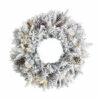Deals ⭐ Nearly Natural 20 In. Flocked Artificial 🎄 Christmas Wreath With 35 LED 🧨 -Nearly Natural Sales unnamed file 1489