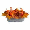 Coupon π Nearly Natural 12 In. Pumpkin Harvest Arrangement In Washed Vase β 2 Coupon π Nearly Natural 12 In. Pumpkin Harvest Arrangement In Washed Vase β -Nearly Natural Sales unnamed file 1515