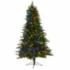 Outlet 🎁 Nearly Natural 6.5' Spruce Artificial 🎄 Christmas Tree With 450 Lights ✔️ -Nearly Natural Sales unnamed file 1611