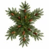 Cheapest 🛒 Nearly Natural 30” Pre-Lit Snowflake Artificial Fir Wreath W/ 40 LEDs ✨ -Nearly Natural Sales unnamed file 1617