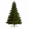 Flash Sale 😍 Nearly Natural 8’ Artificial Spruce 🔔 Christmas Tree W/ 700 White Lights 👏 -Nearly Natural Sales unnamed file 1626