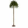 Best reviews of π Nearly Natural 7β Artificial π Christmas Palm Tree With 300 LED Lights 𧨠1 Best reviews of π Nearly Natural 7β Artificial π Christmas Palm Tree With 300 LED Lights 𧨠-Nearly Natural Sales unnamed file 1650