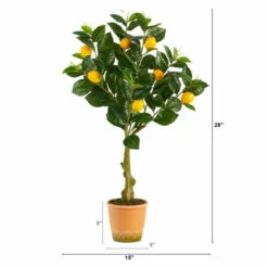 Coupon β Nearly Natural 28β Lemon Artificial Tree In Decorative Planter π― 6 Coupon β Nearly Natural 28β Lemon Artificial Tree In Decorative Planter π― -Nearly Natural Sales unnamed file 1695