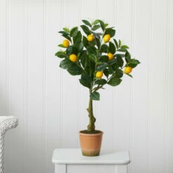 Coupon β Nearly Natural 28β Lemon Artificial Tree In Decorative Planter π― 7 Coupon β Nearly Natural 28β Lemon Artificial Tree In Decorative Planter π― -Nearly Natural Sales unnamed file 1696