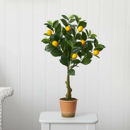 Coupon β Nearly Natural 28β Lemon Artificial Tree In Decorative Planter π― 5 Coupon β Nearly Natural 28β Lemon Artificial Tree In Decorative Planter π― - Image 3