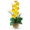 Budget 🔥 Nearly Natural Single Stem Phalaenopsis Silk Orchid Arrangement ⭐ -Nearly Natural Sales unnamed file 1701