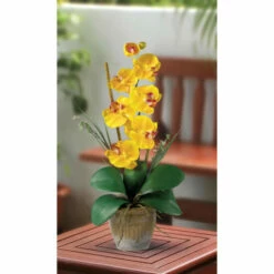 Budget 🔥 Nearly Natural Single Stem Phalaenopsis Silk Orchid Arrangement ⭐ -Nearly Natural Sales unnamed file 1702