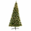 Top 10 π Nearly Natural 10β Frosted Swiss Pine π Christmas Tree With 850 Clear Lights π 2 Top 10 π Nearly Natural 10β Frosted Swiss Pine π Christmas Tree With 850 Clear Lights π -Nearly Natural Sales unnamed file 1855