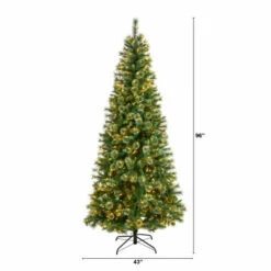 Hot Sale β¨ Nearly Natural 8β Wisconsin Slim Snow Tip Pine π
Christmas Tree π 10 Hot Sale β¨ Nearly Natural 8β Wisconsin Slim Snow Tip Pine π
Christmas Tree π -Nearly Natural Sales unnamed file 1863