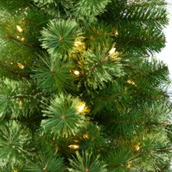 Buy 𧨠Nearly Natural 8' Green Pencil β Christmas Tree With 200 Clear Lights β¨ 11 Buy 𧨠Nearly Natural 8' Green Pencil β Christmas Tree With 200 Clear Lights β¨ -Nearly Natural Sales unnamed file 1884