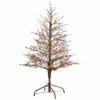 Cheapest π Nearly Natural 4β Frosted Berry Twig π
Christmas Tree With 100 Lights π₯ 1 Cheapest π Nearly Natural 4β Frosted Berry Twig π
Christmas Tree With 100 Lights π₯ -Nearly Natural Sales unnamed file 1885