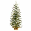 Best deal 😉 Nearly Natural 3’ 🎄 Christmas Tree With 50 LED Lights Set In A Burlap Base ⌛ -Nearly Natural Sales unnamed file 1910