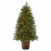 Cheapest 🔔 Nearly Natural 5' Pre-Lit Porch 🎄 Christmas Tree With 200 Lights 🔥 -Nearly Natural Sales unnamed file 1943
