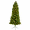 Coupon π Nearly Natural 7β Slim Virginia Spruce π Christmas Tree With 500 Lights π 1 Coupon π Nearly Natural 7β Slim Virginia Spruce π Christmas Tree With 500 Lights π -Nearly Natural Sales unnamed file 1998