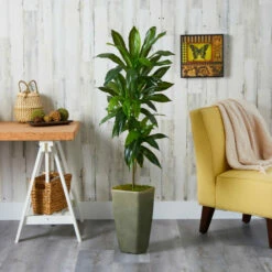 Flash Sale 🌟 Nearly Natural 4.5’ Dracaena Artificial Plant Green Planter Real Touch 😉 -Nearly Natural Sales unnamed file 200