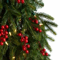 Cheapest 😍 Nearly Natural 4’ Victoria Fir 🎅 Christmas Tree With 100 Lights ⭐ -Nearly Natural Sales unnamed file 2006