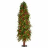Budget π― Nearly Natural 5β Victoria Fir π Christmas Tree With 200 Lights π 2 Budget π― Nearly Natural 5β Victoria Fir π Christmas Tree With 200 Lights π -Nearly Natural Sales unnamed file 2008