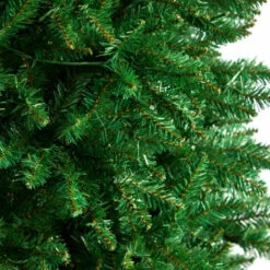 Outlet β€οΈ Nearly Natural 12β Slim Green Mountain Pine π Christmas Tree π 10 Outlet β€οΈ Nearly Natural 12β Slim Green Mountain Pine π Christmas Tree π -Nearly Natural Sales unnamed file 2056