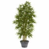 Top 10 β¨ Nearly Natural 64β Bamboo Artificial Tree In Gray Planter π₯ 1 Top 10 β¨ Nearly Natural 64β Bamboo Artificial Tree In Gray Planter π₯ -Nearly Natural Sales unnamed file 210