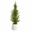 Promo 🎁 Nearly Natural 20'' Cedar Pine Tree W/ Mini Pines In Decor Planter ✔️ -Nearly Natural Sales unnamed file 2119