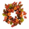 Discount 𧨠Nearly Natural 20β Assorted Maple, Pumpkin And Berry Fall Wreath 𧨠2 Discount 𧨠Nearly Natural 20β Assorted Maple, Pumpkin And Berry Fall Wreath 𧨠-Nearly Natural Sales unnamed file 2170