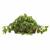 New π Nearly Natural Pothos With Ledge Basket π― 1 New π Nearly Natural Pothos With Ledge Basket π― -Nearly Natural Sales unnamed file 225