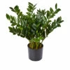 Discount 😉 Nearly Natural 30" Real Touch ZZ Plant In Jute Basket ⭐ -Nearly Natural Sales unnamed file 2301