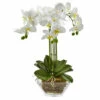 Promo 🤩 Nearly Natural 22" Phalaenopsis In Glass Vase ⌛ -Nearly Natural Sales unnamed file 232
