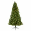 Discount π₯ Nearly Natural 7' New Hampshire Fir Artificial π Christmas Tree π― 2 Discount π₯ Nearly Natural 7' New Hampshire Fir Artificial π Christmas Tree π― -Nearly Natural Sales unnamed file 2329