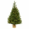 Best deal 🧨 Nearly Natural 6’ Fraser Fir Artificial ❄ Christmas Tree W/ 300 Lights 🧨 -Nearly Natural Sales unnamed file 2359