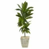 Best Sale 😀 Nearly Natural 4’ Dracaena Artificial Plant White Planter (Real Touch) 🧨 -Nearly Natural Sales unnamed file 2376