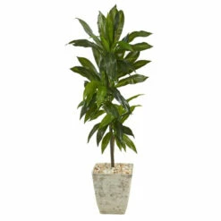 Best Sale 😀 Nearly Natural 4’ Dracaena Artificial Plant White Planter (Real Touch) 🧨