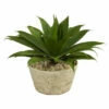 Budget 🛒 Nearly Natural 1.5’ Agave Succulent Artificial Plant In White Planter 🧨