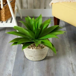 Budget 🛒 Nearly Natural 1.5’ Agave Succulent Artificial Plant In White Planter 🧨 -Nearly Natural Sales unnamed file 2381