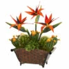 Buy 🎁 Nearly Natural 21” Bird Of Paradise And Cactus Artificial Plant 🛒