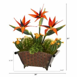 Buy π Nearly Natural 21β Bird Of Paradise And Cactus Artificial Plant π 6 Buy π Nearly Natural 21β Bird Of Paradise And Cactus Artificial Plant π -Nearly Natural Sales unnamed file 2383