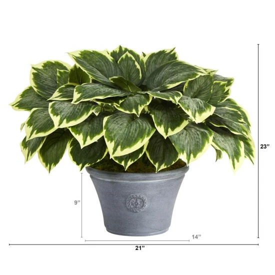 Budget π₯ Nearly Natural 23β Variegated Hosta Artificial Plant In Gray Planter π 4 Budget π₯ Nearly Natural 23β Variegated Hosta Artificial Plant In Gray Planter π - Image 2