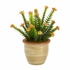 Top 10 😀 Nearly Natural 10” Flowering Sedum Succulent Artificial Plant 🤩