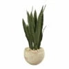 Hot Sale 🧨 Nearly Natural 32” Sansevieria Artificial Plant Sand Colored Planter 😀 1 Hot Sale 🧨 Nearly Natural 32” Sansevieria Artificial Plant Sand Colored Planter 😀 -Nearly Natural Sales unnamed file 2406